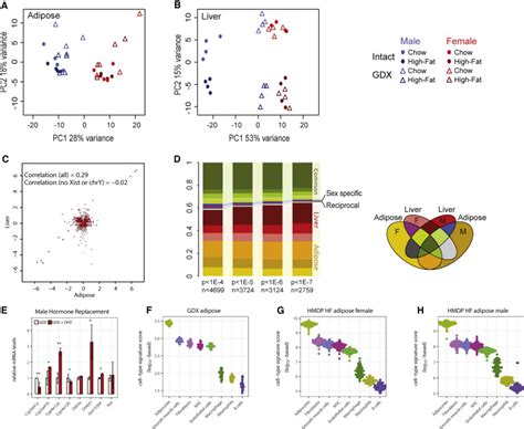 Gene By Sex Interactions In Mitochondrial Functions And Cardio Metabolic Traits Cell Metabolism