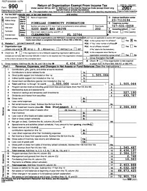 Fillable Online Pinellasccf Pinellas Community Foundation Gov