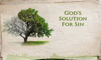 God S Solution For Sin By Pastor Dan Walker Messages Life Church