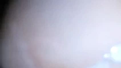 Free Whipped Cream Porn Videos XHamster