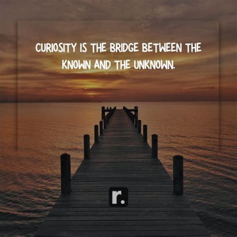 150+ Curiosity Quotes that Encourage Questioning and Growth