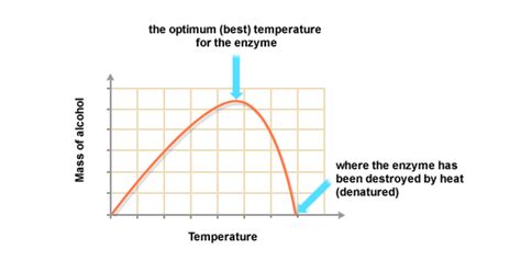 Effect Of Temparature On Yeast Fermentation Thedrudgereort280 Web Fc2