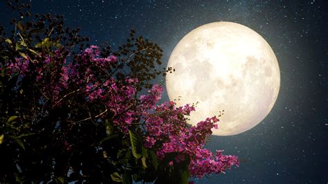 Full Moon April 2023 Horoscope Libra Wakes Love Goddess Woman Home