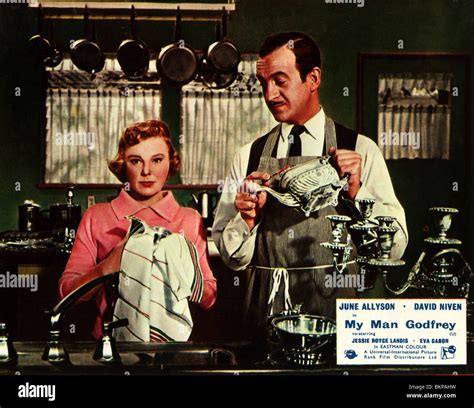 My Man Godfrey 1957 June Allyson David Niven Henry Koster Dir Mmgy