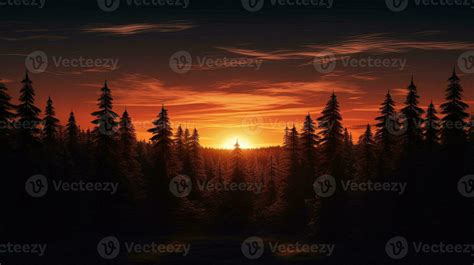 Fir forest at sunset. silhouette concept 27597139 Stock Photo at Vecteezy