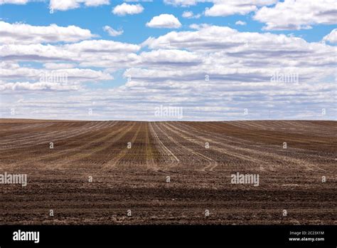 Farmland in the Prairie of Canada Stock Photo - Alamy