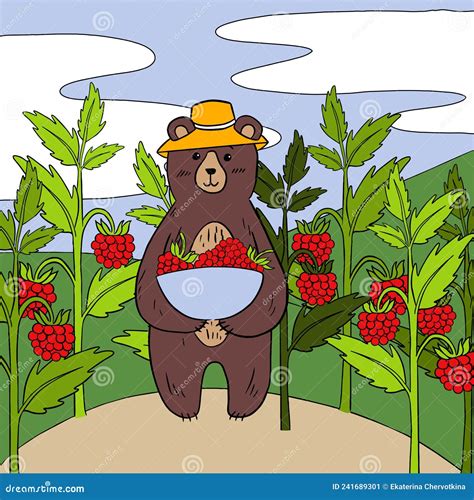 Picture Of A Bear Cub In A Panama Hat Picking Raspberries Stock Vector