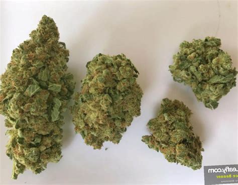 Marijuana Bruce Banner Strain Review - Leaf Expert