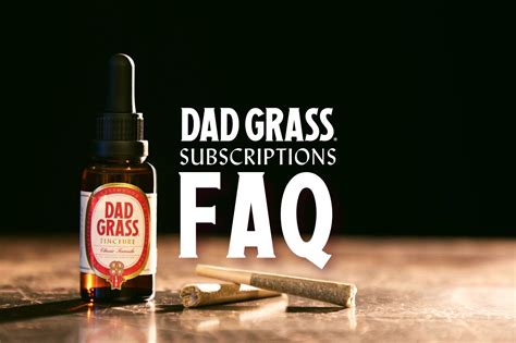 Everything You Need To Know About Dad Grass Subscriptions