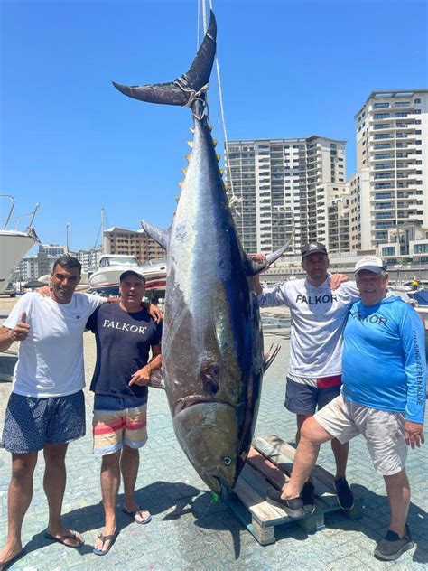 Record Tuna