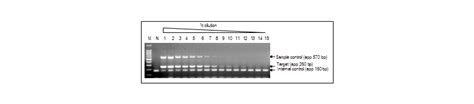 E Myco™ Plus Mycoplasma Pcr Detection Kit Labotaq