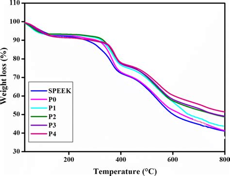 Thermal Stability Of Speek Pure Speek P0 Speek 90 Wtpai 10 Wt