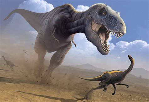 8 Facts About The Fearsome T Rex