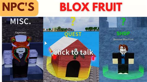 Các Lệnh Trong Blox Fruit Update 24 Random Reset