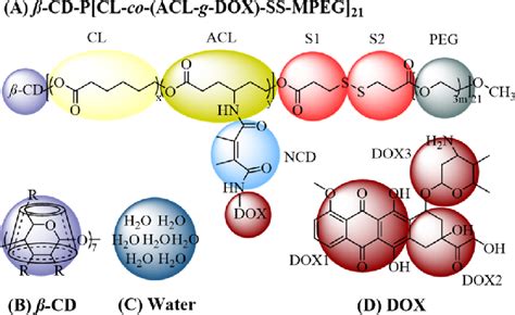 Coarse Grained Models Of A β Cd P[cl Co Acl G Dox Ss Mpeg] 21 B Download Scientific