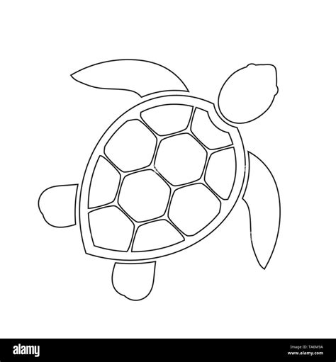 Sea turtle line icon. Vector illustration Stock Vector Image & Art - Alamy