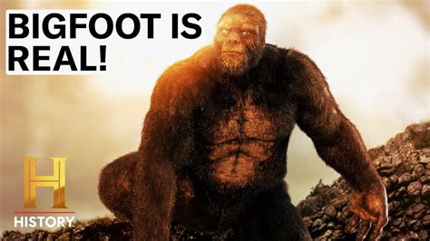 Shocking Bigfoot Sightings The Proof Is Out There