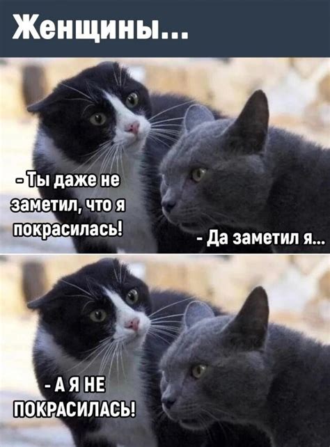 Даже не заметил | Пикабу