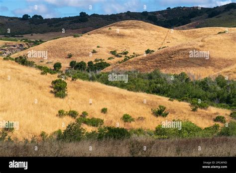 Fort Ord National Monument, California Stock Photo - Alamy