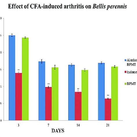 Effect Of Bellis Perennis On Complete Freund S Adjuvant CFA Induced