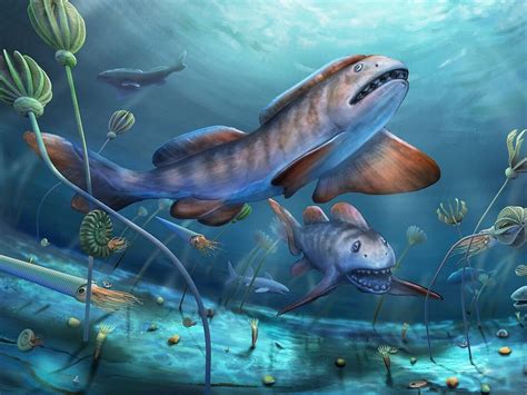 Prehistoric Giant Shark Discovered 290 Million Years Ago In Yangquan