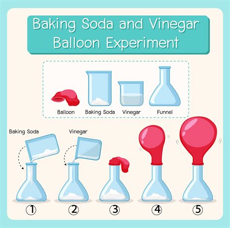 Science experiment with baking soda and vinegar balloon 1609876 Vector ...