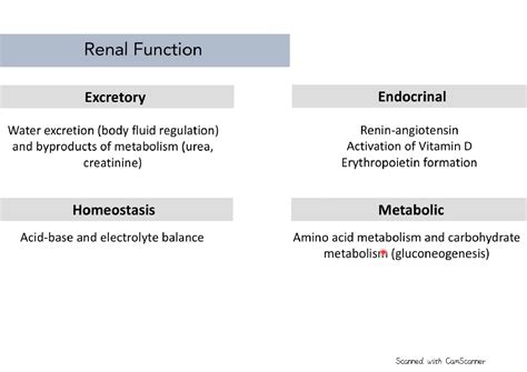 Solution Biochemistry Urinary System Studypool