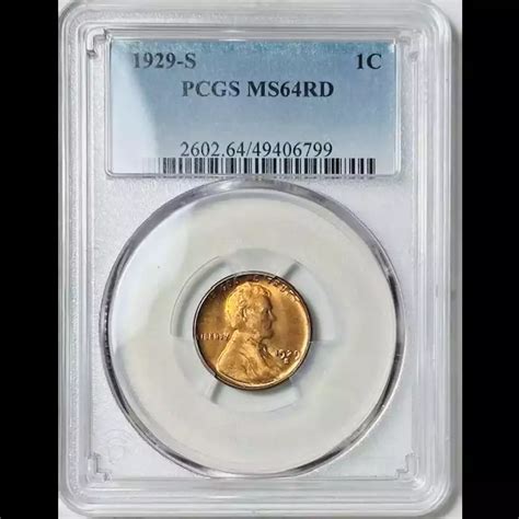 1929 S Small Cents Lincoln Wheat Ears Reverse PCGS MS 64 RD Bob Paul