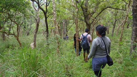 Sathyamangalam Tiger Reserve and Germalam Trek