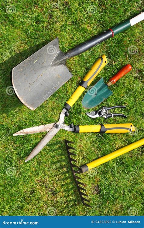 Garden Tools Stock Photo Image Of Border Garden Fork 24323892