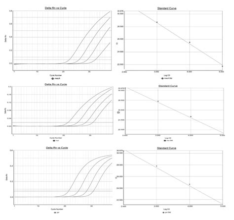 Amplification Curves And Dilution End Point Standard Curves Of Log10