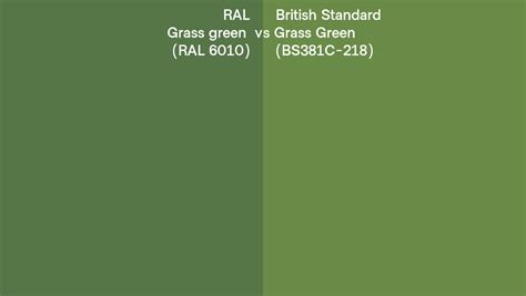 Ral Grass Green Ral 6010 Vs British Standard Grass Green Bs381c 218 Side By Side Comparison