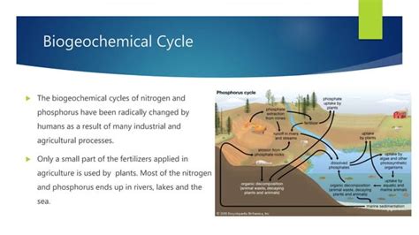 Planetary boundaries | PPT