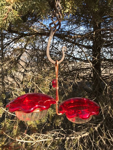 Hummingbird Feeder 6oz Etsy