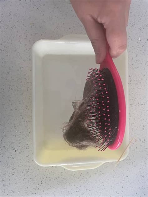 This Cleaning Hack Got My Hairbrush Spotless — With Just 3 Household Ingredients Hair Brush