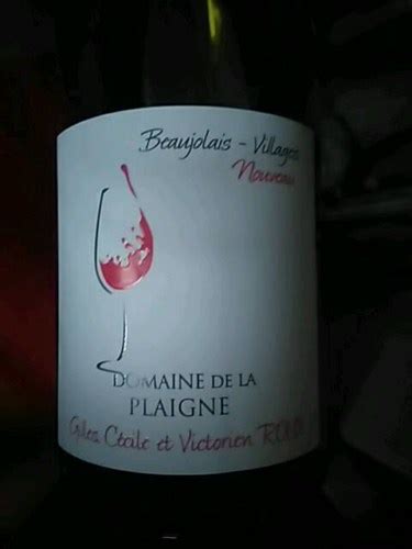 Domaine De La Plaigne Beaujolais Villages Nouveau Vivino Us