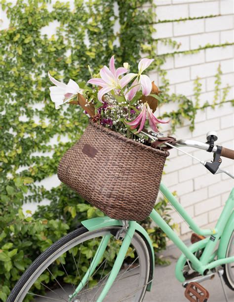 WARNERS WHEELS Bike Basket for Women's Cruiser with Coffee Cup Holder ...