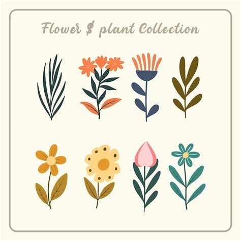 Premium Vector Set Simple Flower Vector