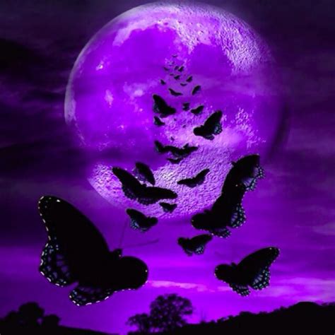 Purple And Black Butterflies Flying In Front Of A Full Moon