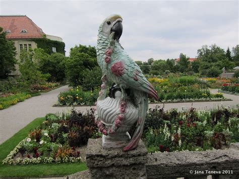 Jana around the world Botanischer Garten München Nymphenburg