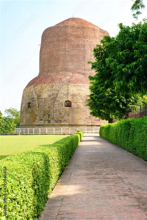 Buddhist stupa in Sarnath, India. December 2015 Stock Photo | Adobe Stock