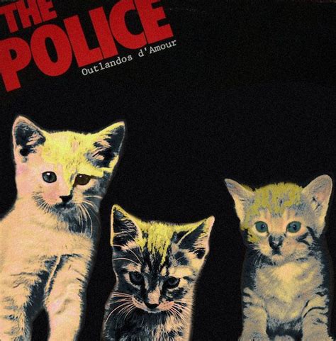 Classic Album Covers Reimagined With Kittens Artofit