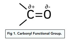 Carbonyl Compounds – Exam-Corner