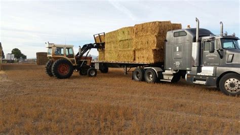 Hauling Hay Trucks Vehicles Agri