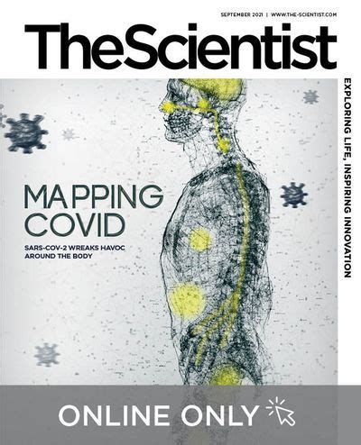 Issue | September 2021 | Mapping Covid | The Scientist Magazine®