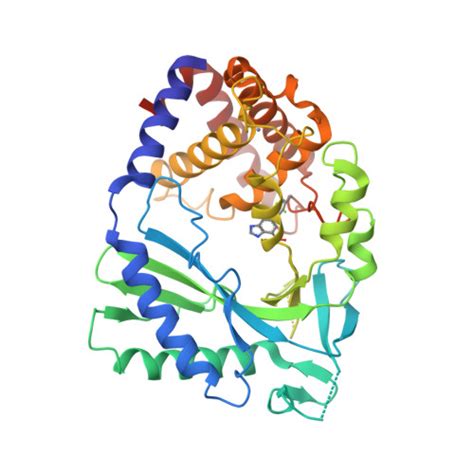 RCSB PDB 7FTO Crystal Structure Of Human Cyclic GMP Synthase In