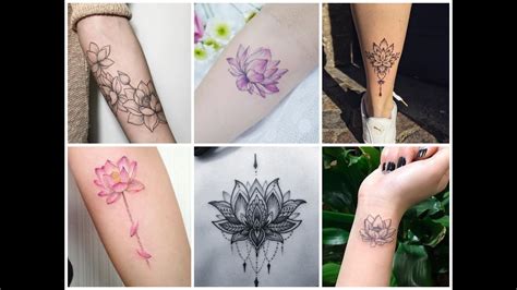 Tatouage Fleur De Lotus Avant Bras Signification