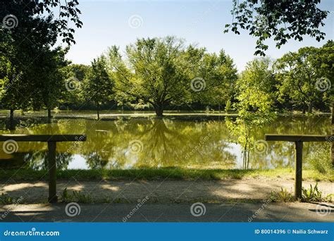 Rhein Hochwasser In Speyer Im Jahre 2013 Stockfoto Bild Von Brücke