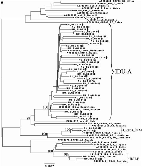 Phylogenetic Analysis Of Hiv 1 Pol Sequences Coding The Pro And Reverse