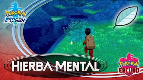 Cómo Conseguir La Hierba Mental En PokÉmon Espada Y Escudo 💥 GuÍa PokÉmon Espada Y Escudo Youtube